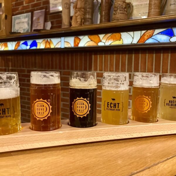 Discovering the Treasures of Pilsen: A Journey through History, Beer, and Culture